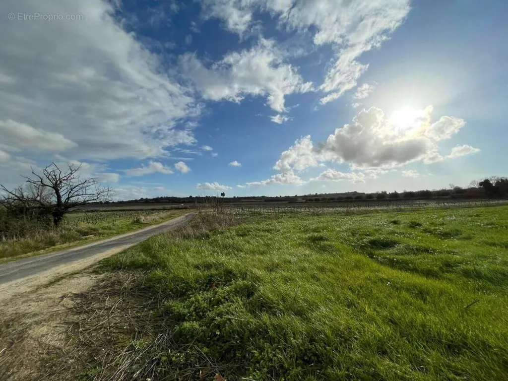Aed - Constructible Plot in Pouzolles Village