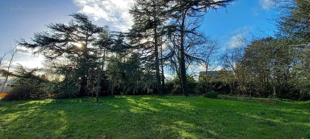 Jardin - Terrain Constructible dans un Cadre Calme à Ancenis