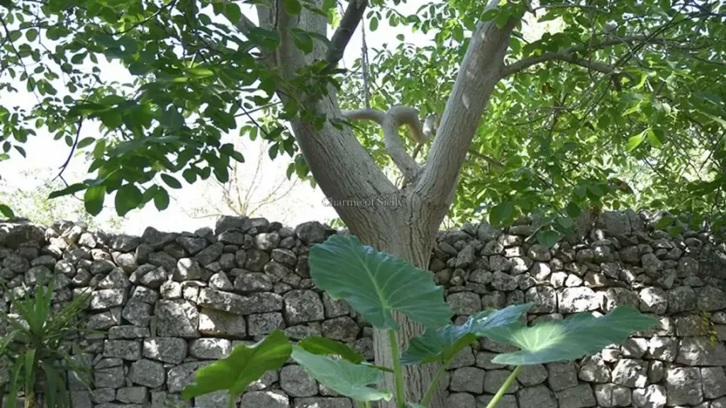 Aed - Independent House with Garden in Modica