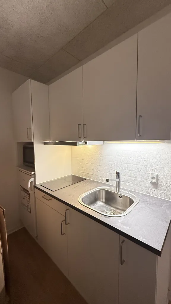 Cucina - Modern Studio Flat with Direct Cable in Copenhagen
