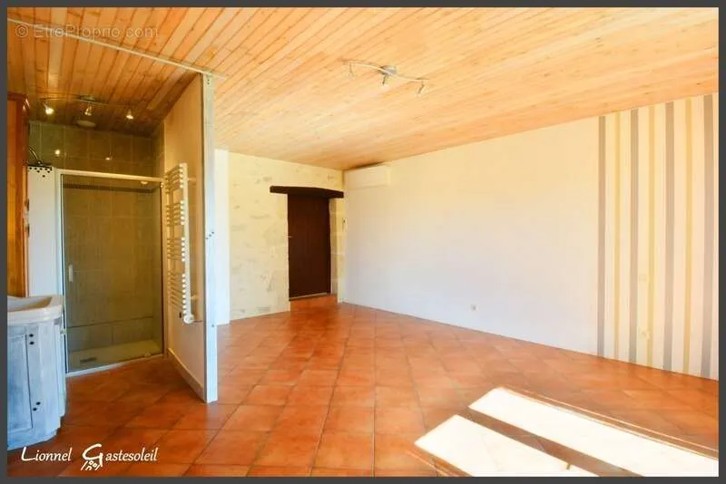 Toad - Charming Stone House with Pool in Gironde