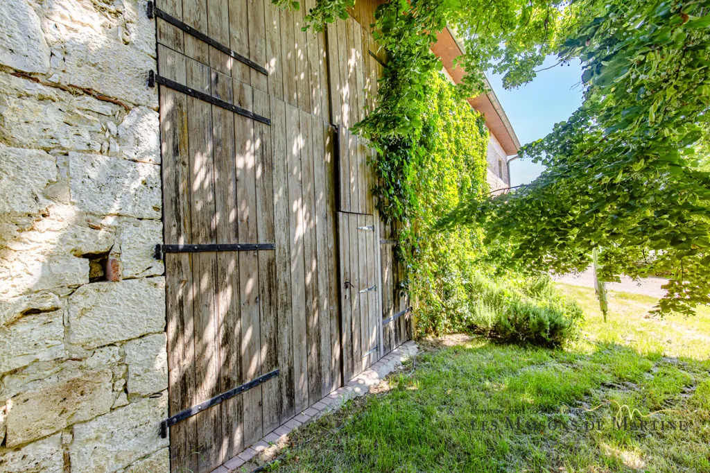 Garden - Character House with Pool in Mauvezin, Gers
