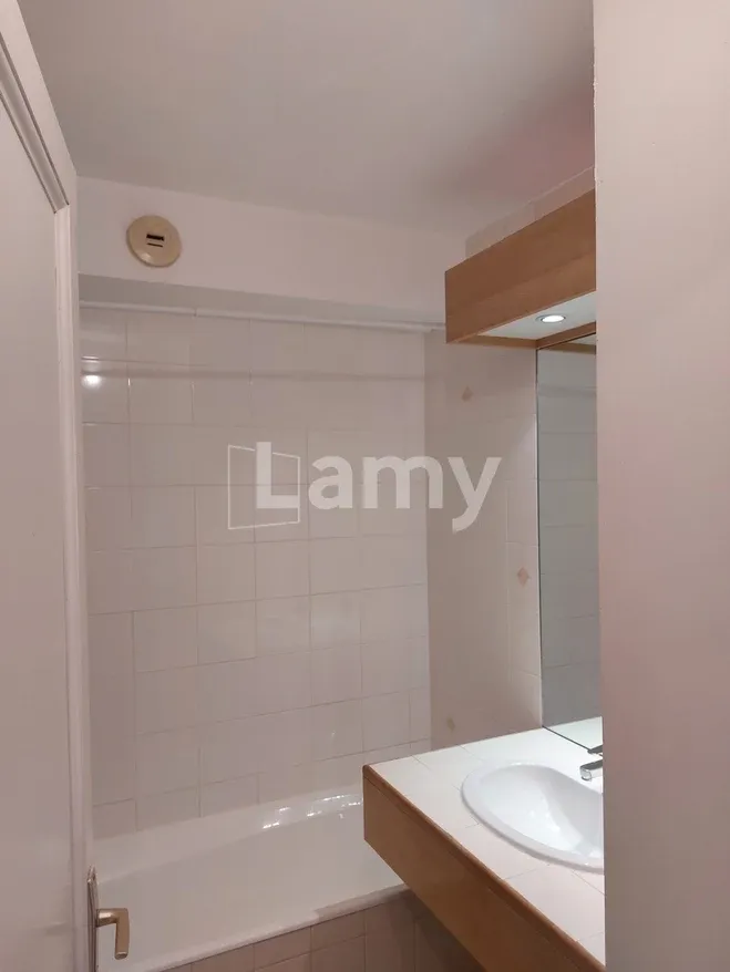 Salles de bain - Appartement Rénové avec Balcon à la Part Dieu