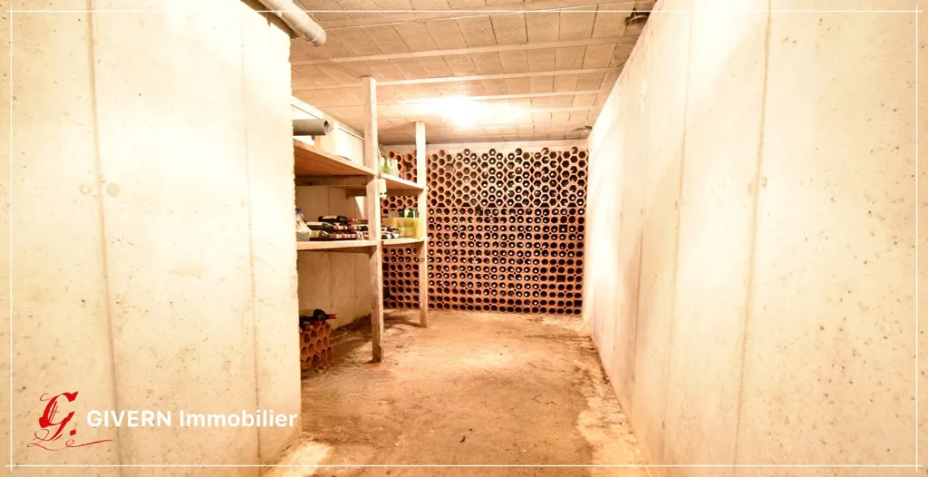 Toad - House with Complete Basement in Plouay