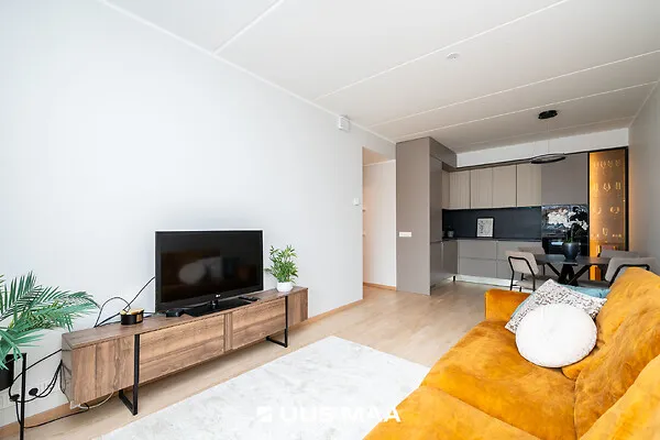 Elutuba - Modern Flat with Balcony in Loo Village