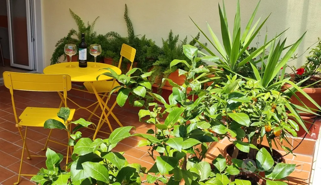 Single Room in Historic Centre, Naples