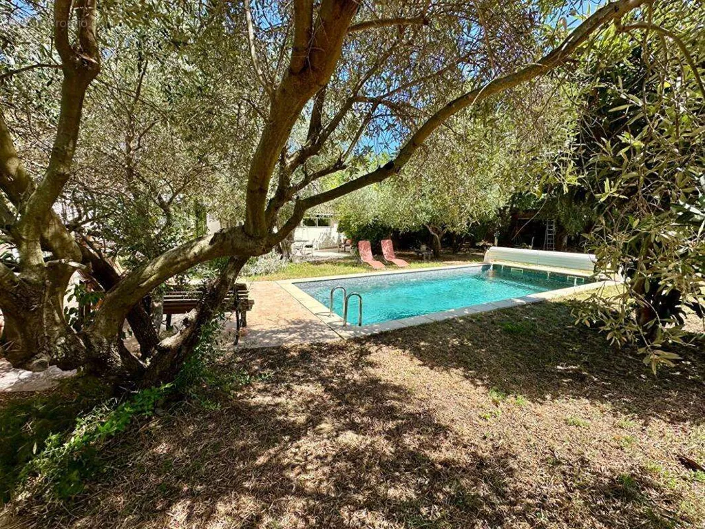 Piscine - Villa de Plain-pied avec Piscine entre Pignan et Cournonterral