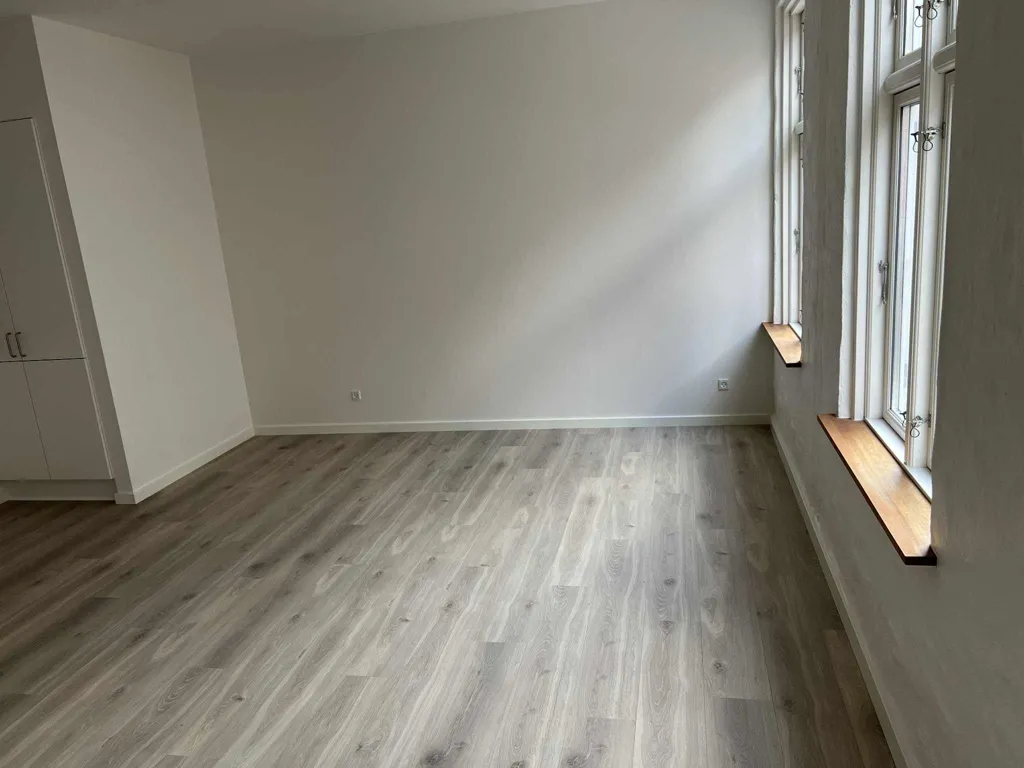 Toad - Renovated Flat with Terrace in Gågaden