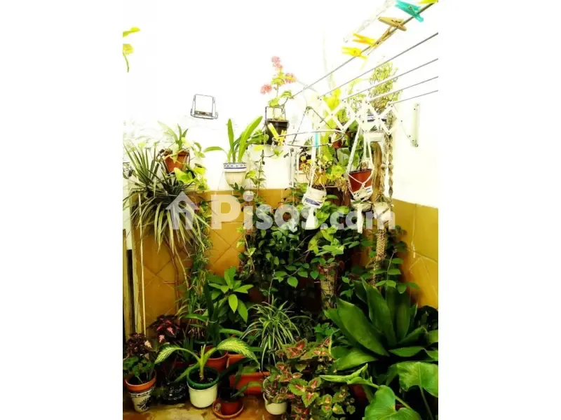 Garden - Three-Storey House with Sea Views in Nerja