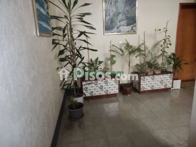 Ingresso - Student Flat with Terrace in Calle del Monasterio