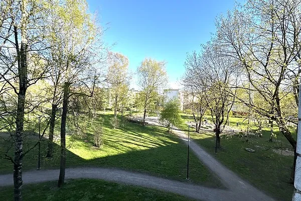 garden