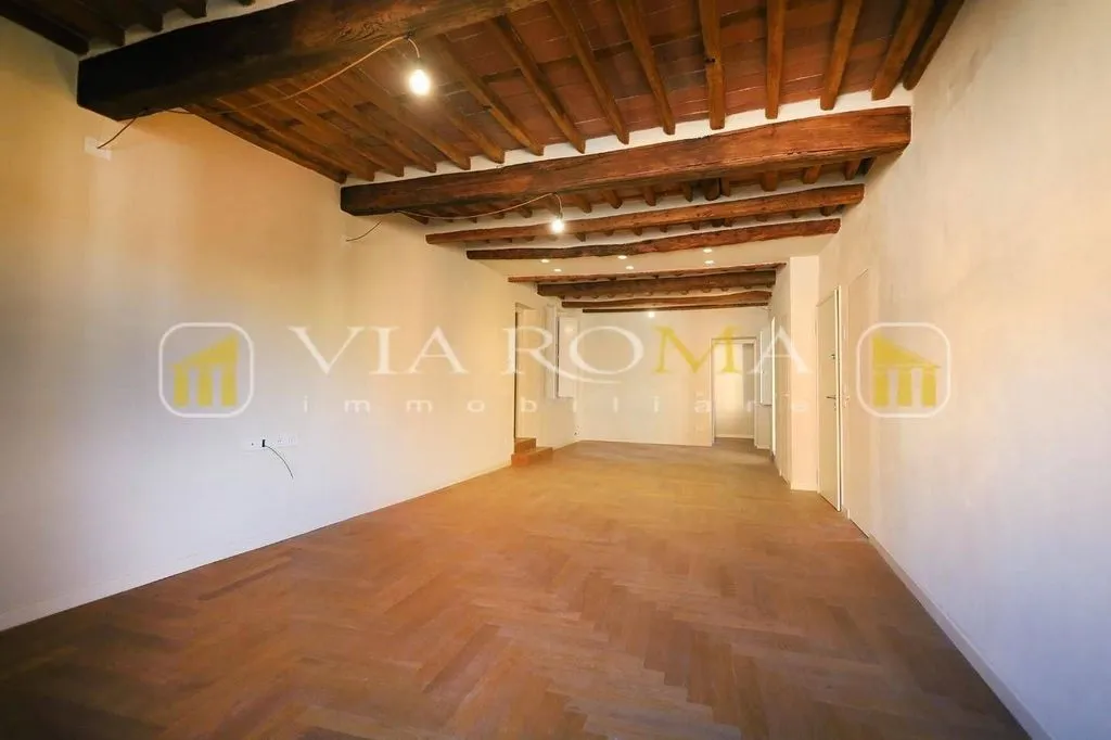 Toad - Luxury Flat with Views in Central Lucca
