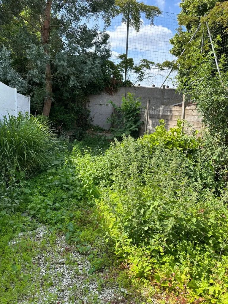 Jardin - Maison avec terrasse suspendue à Lomme