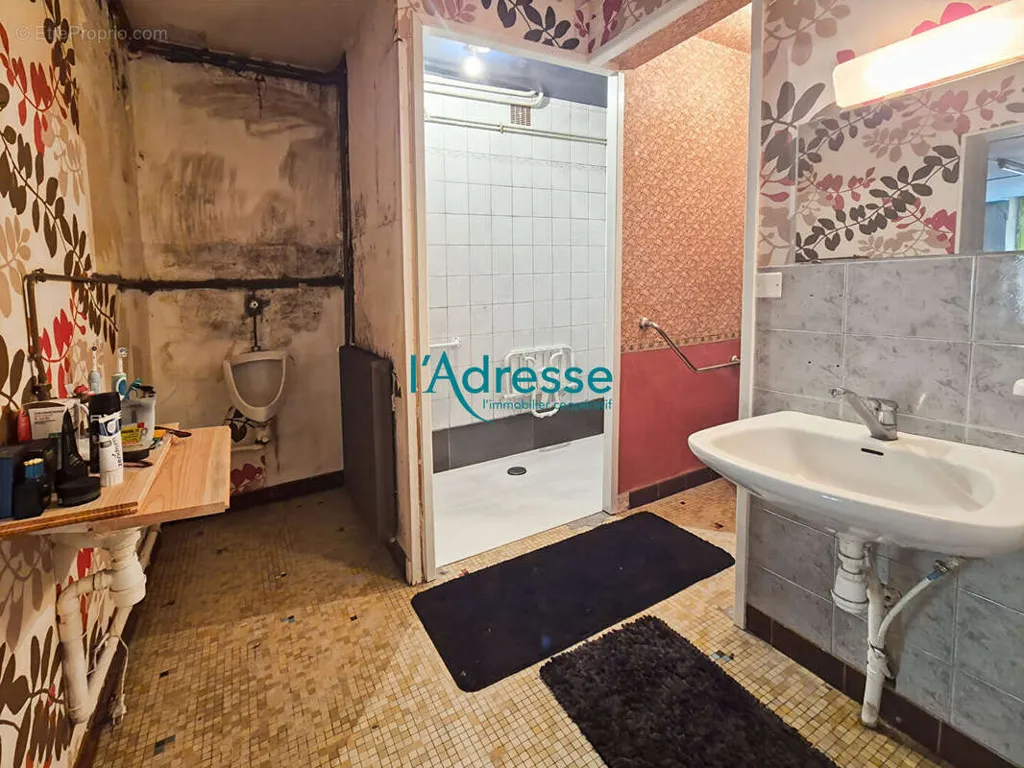 Vannitoad - Property with Constructible Land in Saint Quentin en Mauges