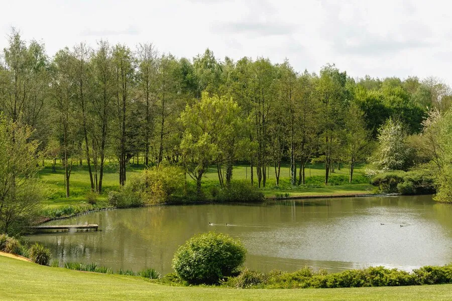 Aed - Château with Estate in Liernu, Walloon Brabant
