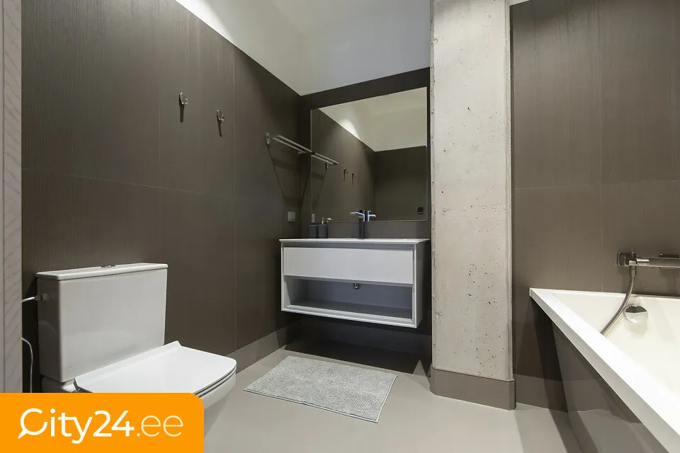 Vannitoad - 3-Bedroom Apartment with Terrace in Riga Centre