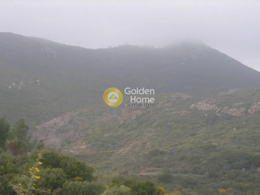 Aed - Agricultural Plot with Sea and Forest Views in Vasilikos