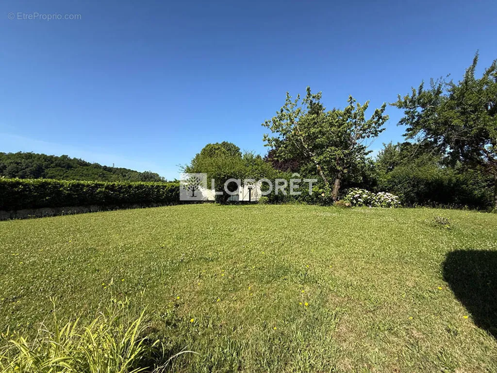 Jardin - Terrain Constructible avec Vue Campagne à Sainte-Euphémie