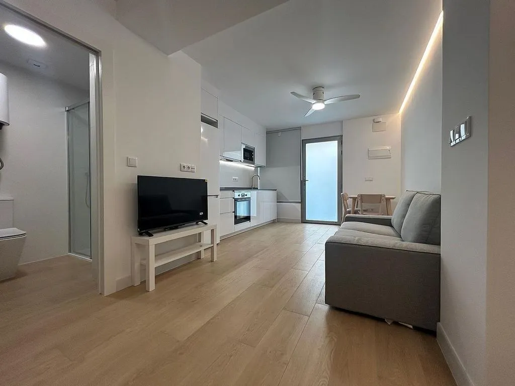 Elutuba - Loft with North Orientation in Elche Centre