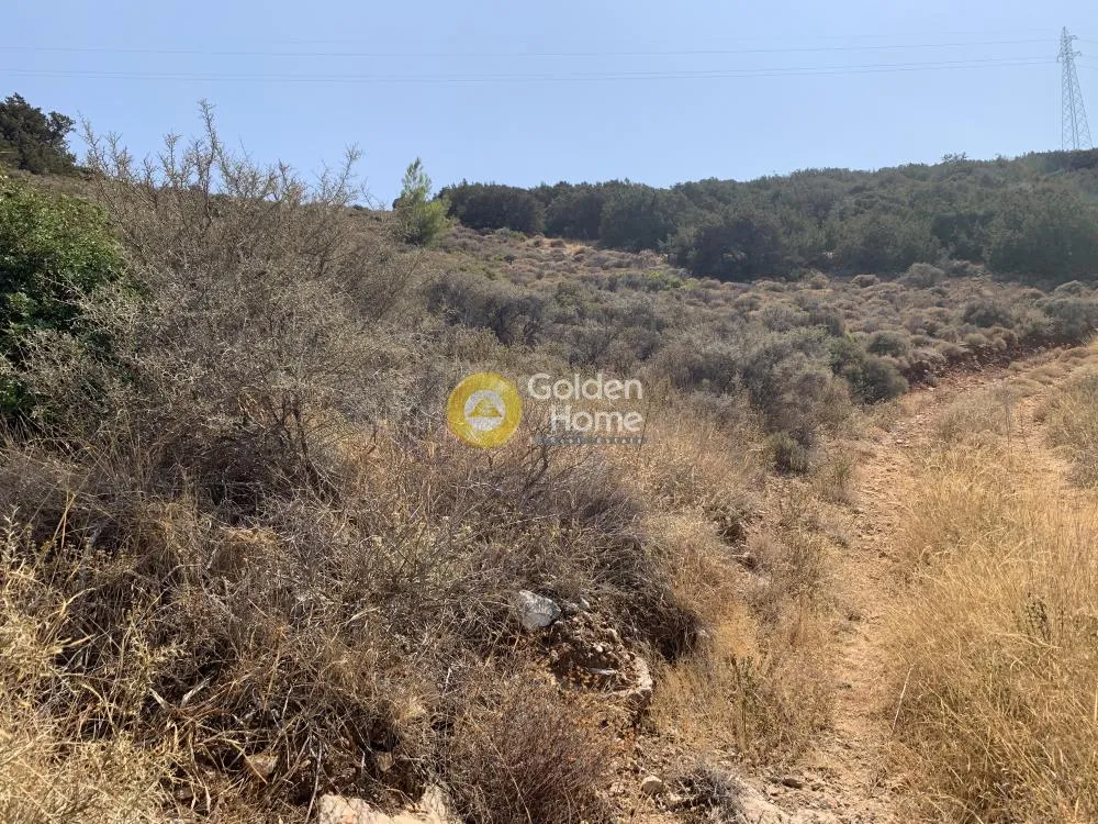 Aed - Agricultural Plot with Panoramic Views in Agios Nikolaos