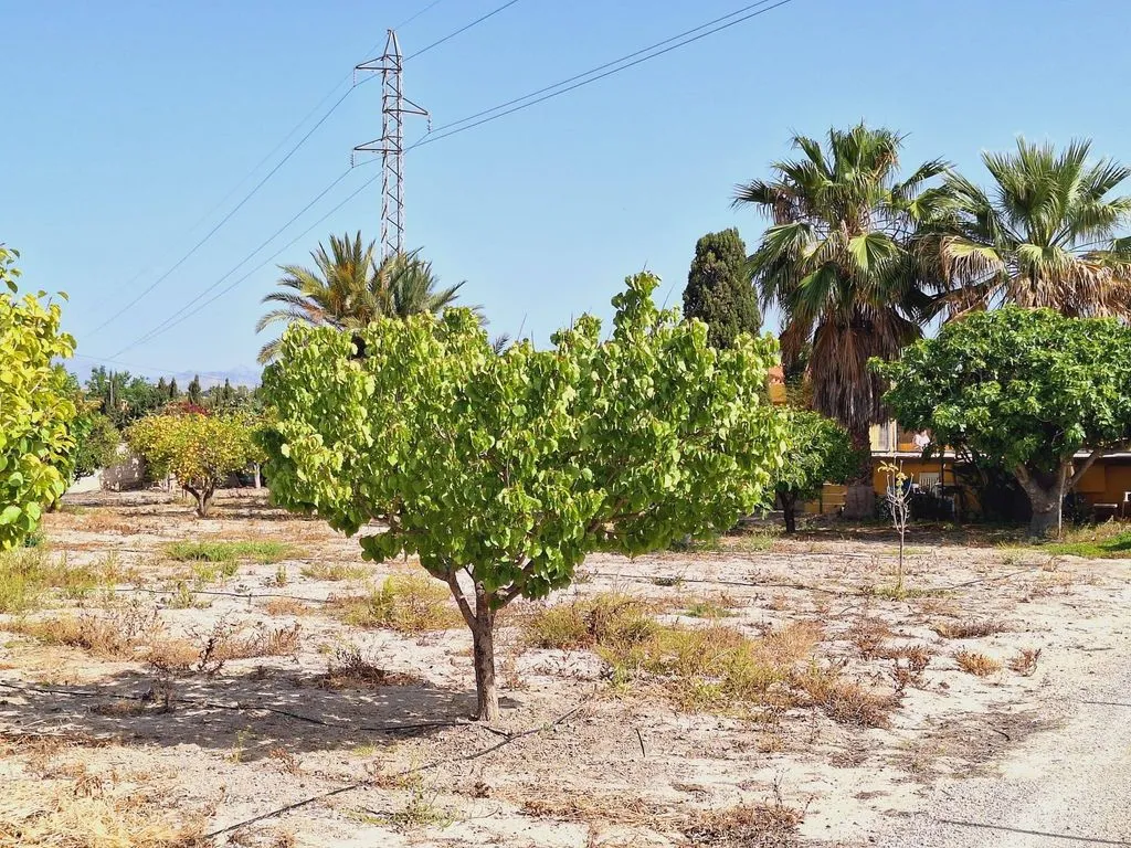 Aed - Detached House with Pool in Alicante