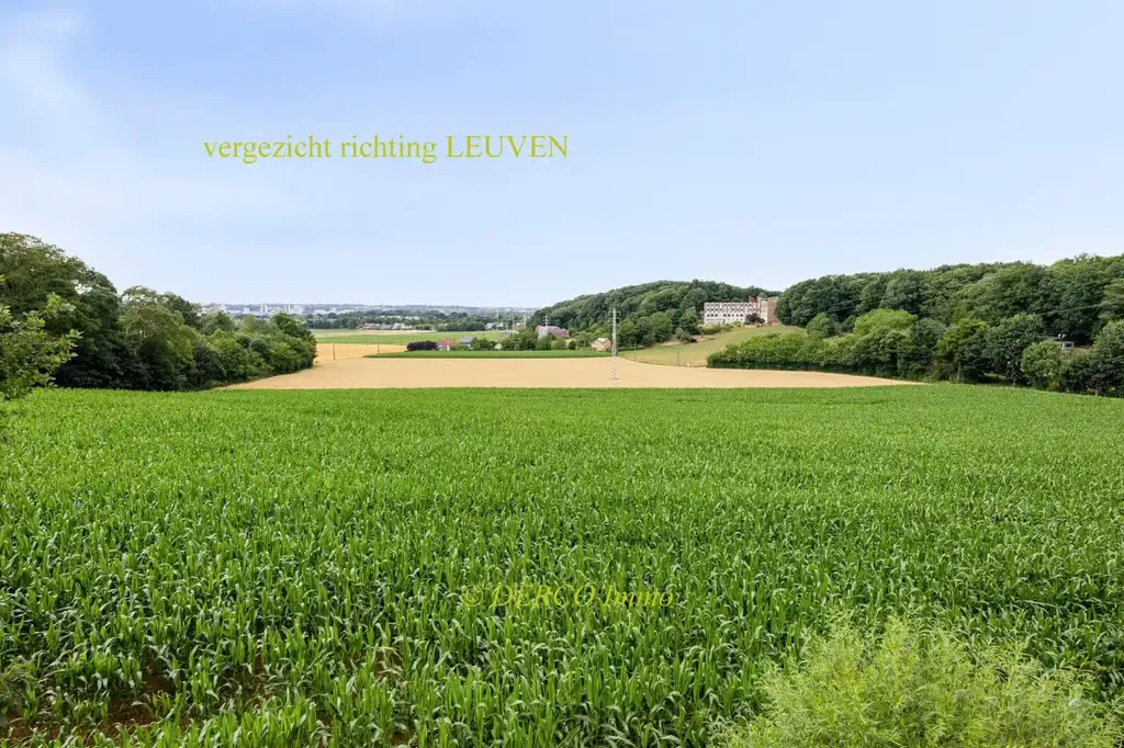 Giardino - Villa with Unique Plot in Leuven Outskirts
