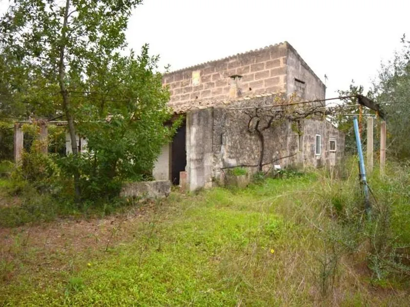 Extérieur - Maison à Balears (Illes)
