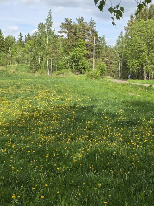 Jardin - Plot with Seafront in Sauvo, Finland