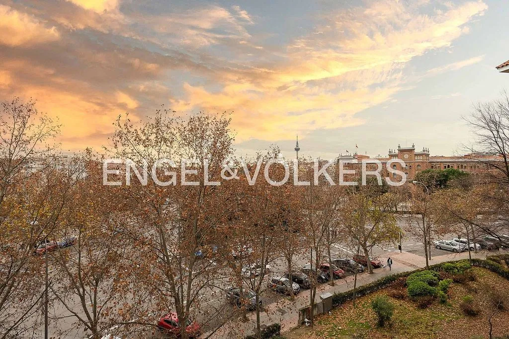Vista aerea - Penthouse with Pool in Guindalera, Madrid