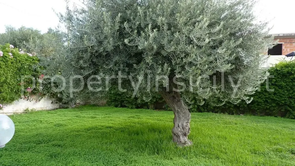 Aed - Villa with Sea View in Siracusa