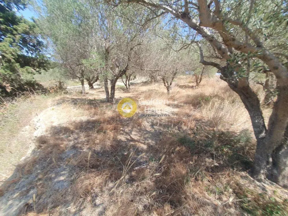 Jardin - Buildable Plot with Sea View in Episkopi