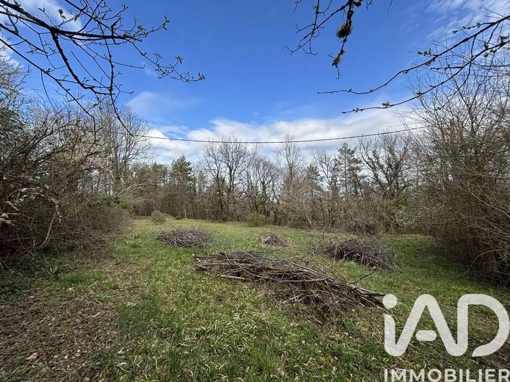 Aed - Buildable Plot with Woodland in Noailles
