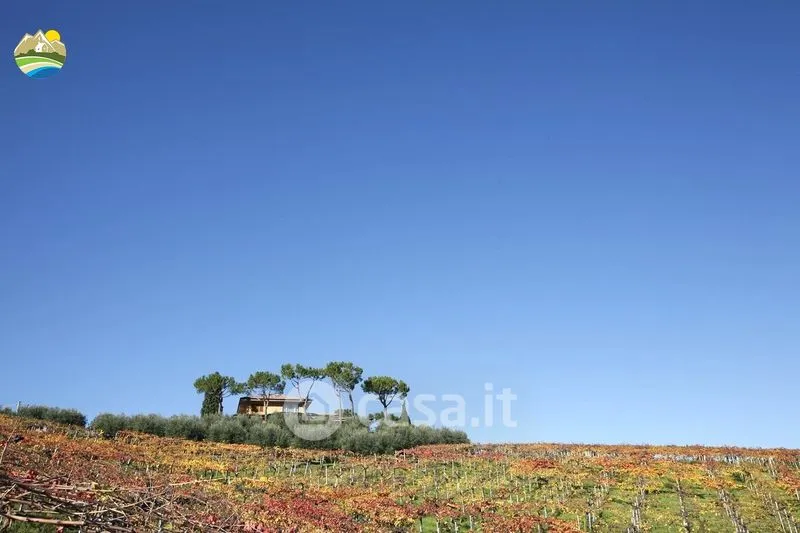Jardin - Panoramic Villa with Private Park in Notaresco