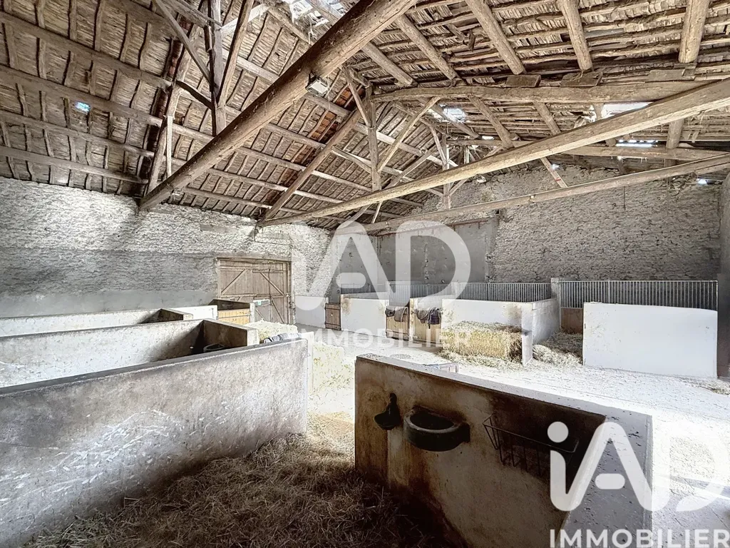 Stanze - Equestrian Domain with House in Nubécourt