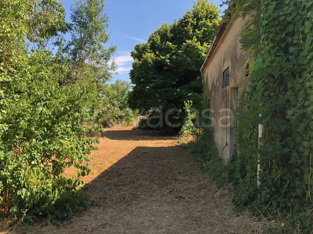 Aed - Independent House with Garden in Voghiera