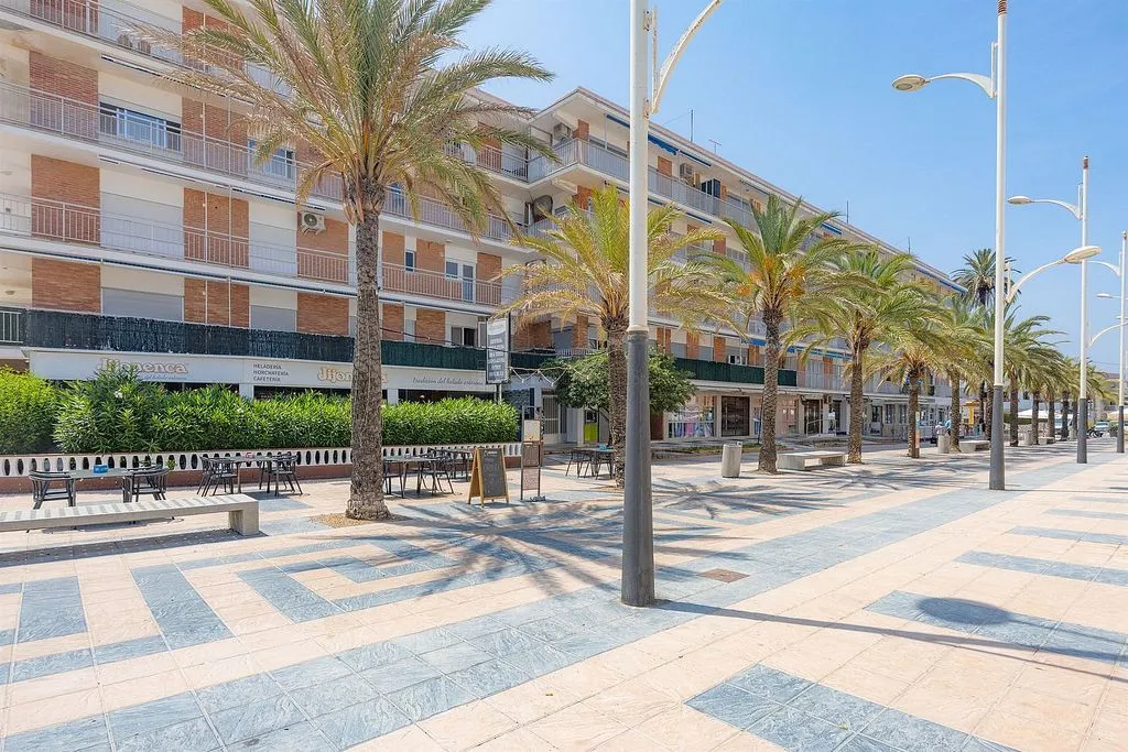 Ample Terrace Apartment in Oliva Playa