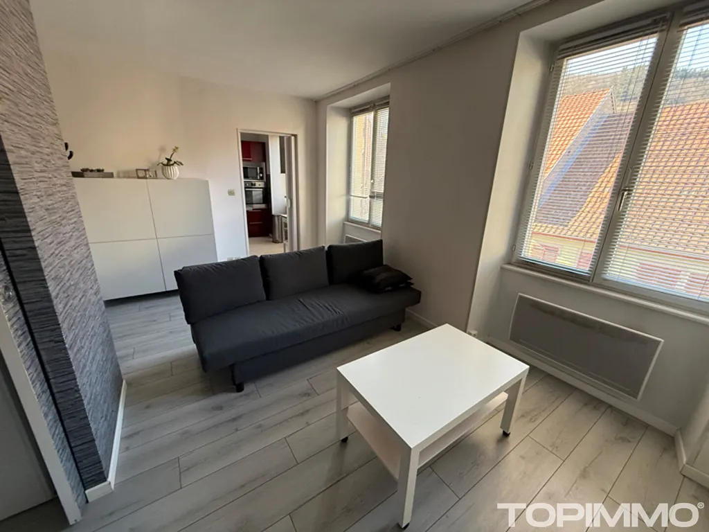 Séjour - Appartement Meublé 2 Pièces à Thann