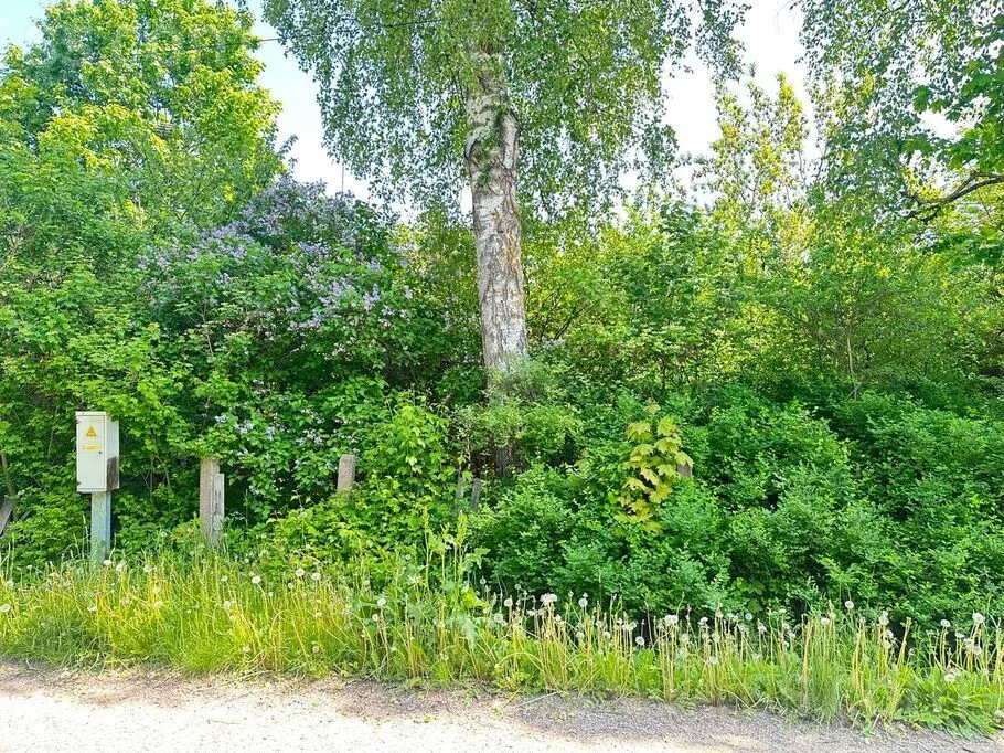 Jardin - House with Lake View in Dagda