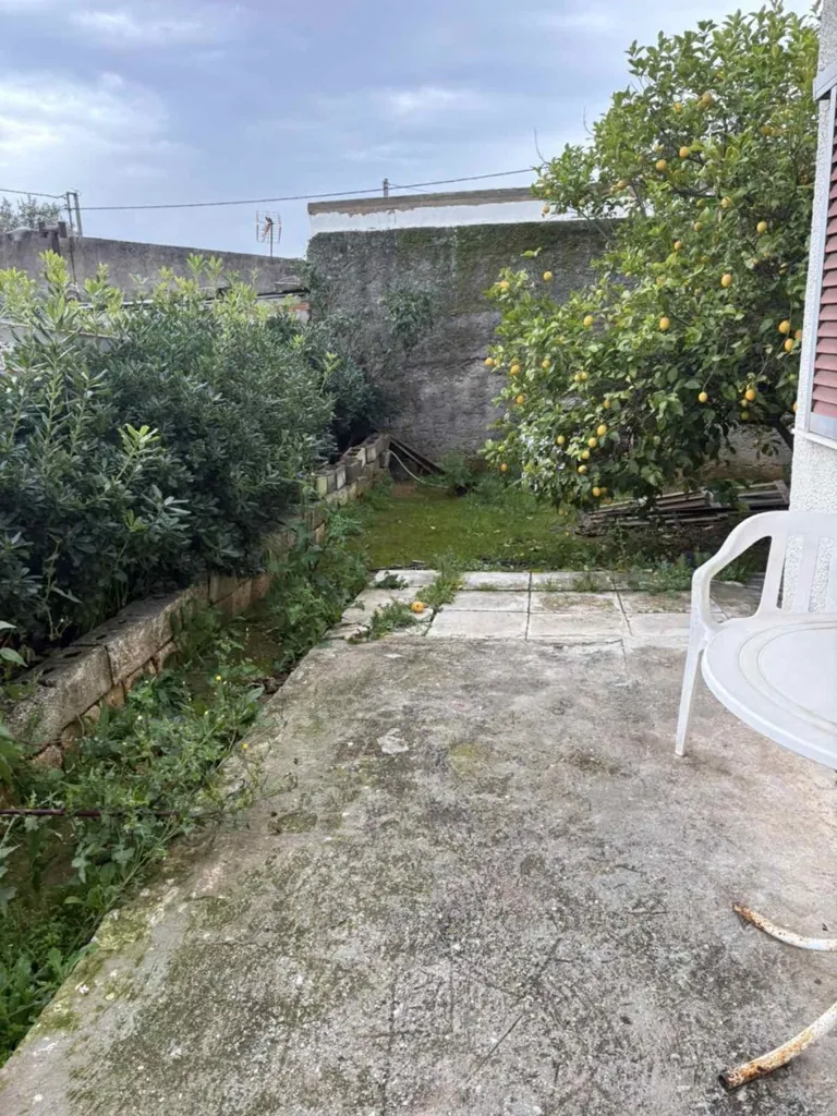 Garden - Detached House with Garden in Agios Dimitrios