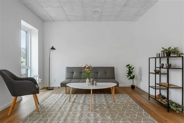 Elutuba - Five-Room Apartment in Hobro