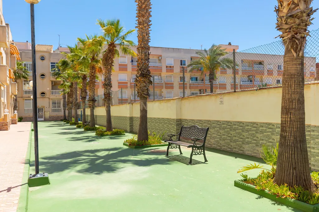Extérieur - Reform Studio with Pool in Torrevieja