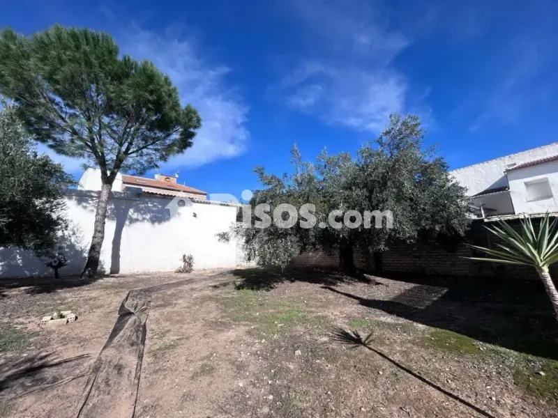Garden - Rustic House with Garden in La Atalaya