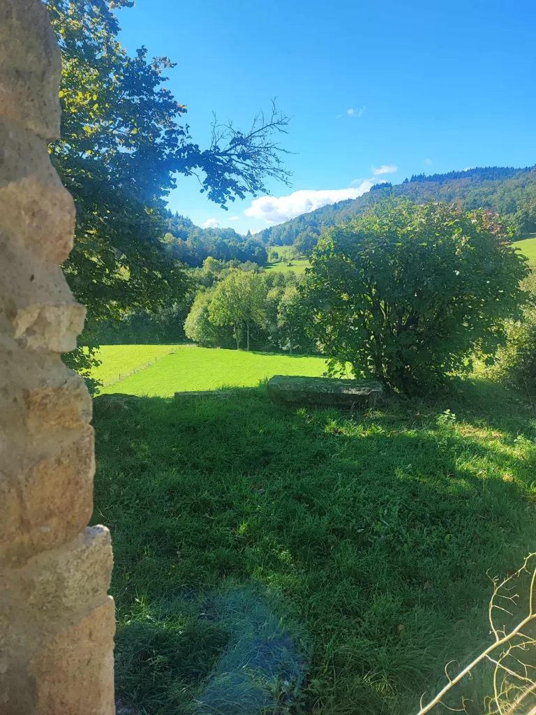 Aed - Stone House with Garden in Boffres