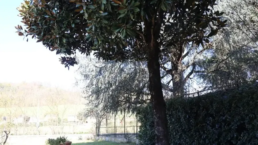 Jardin - Trifamiliare Villa with Garden in Montevarchi