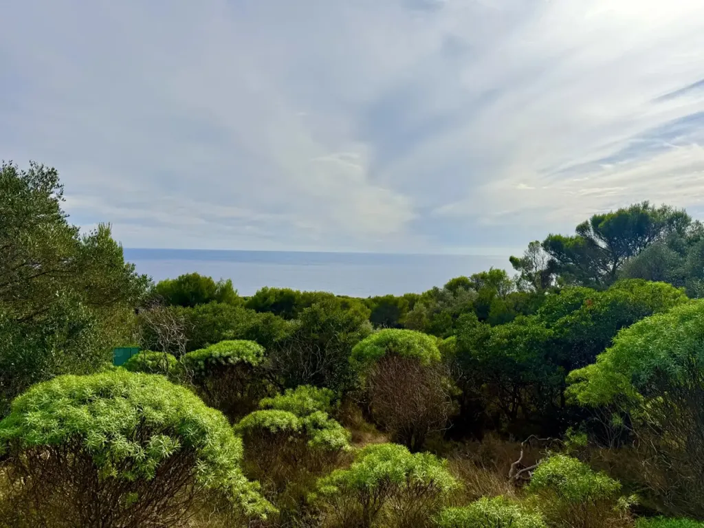 Giardino - Provençal Villa with Sea Views in Cap Ferrat