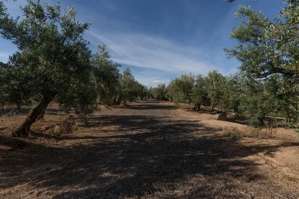 Aed - Buildable Land with Granada Views in Albolote