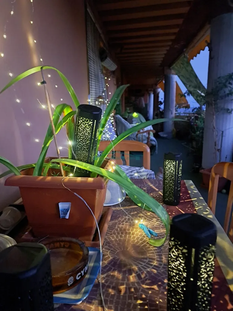 terrace_patio