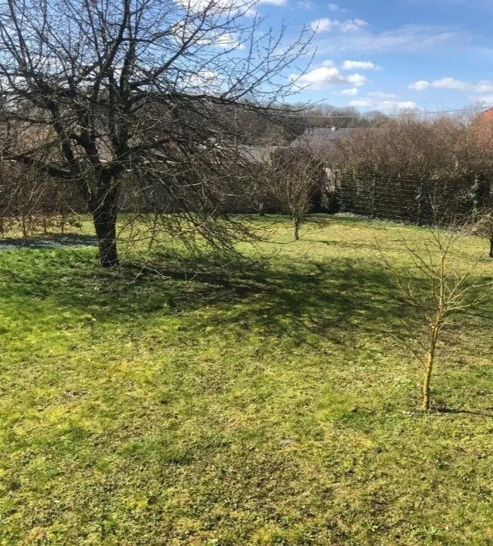 Jardin - Maison à Construire avec Garage à Alincourt