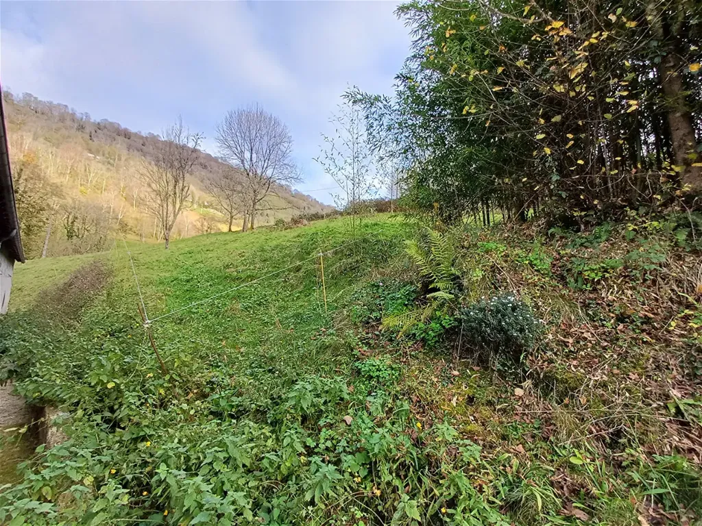 Jardin - Grange Aménagée avec Vue Sud à Bagnères de Bigorre
