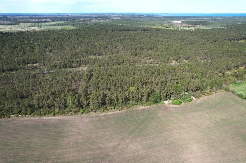 Vue aérienne - Forested Land with Access Road in Väike-Võhma, Saaremaa